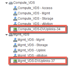 계산 VDS 및 관리 VDS에는 DVUplinks 포트 그룹이 포함되어 있습니다.