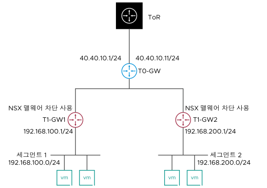 2개의 Tier-1 게이트웨이가 단일 Tier-0 게이트웨이에 연결된 네트워크 토폴로지